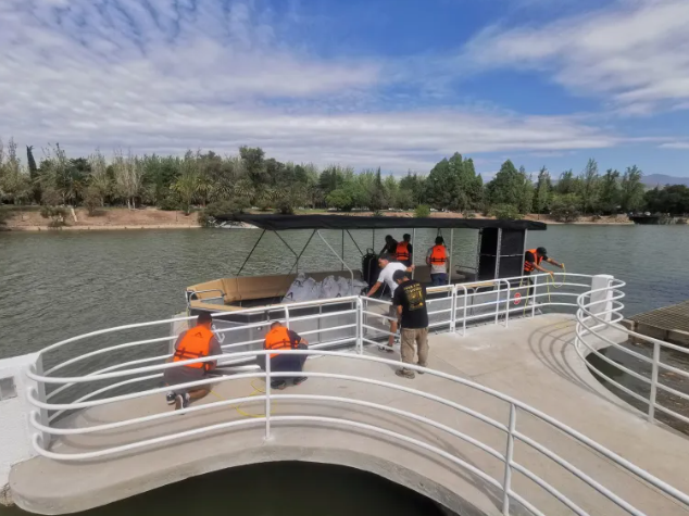 La nueva cuyanita ya se encuentra en el lago del parque San Martin 