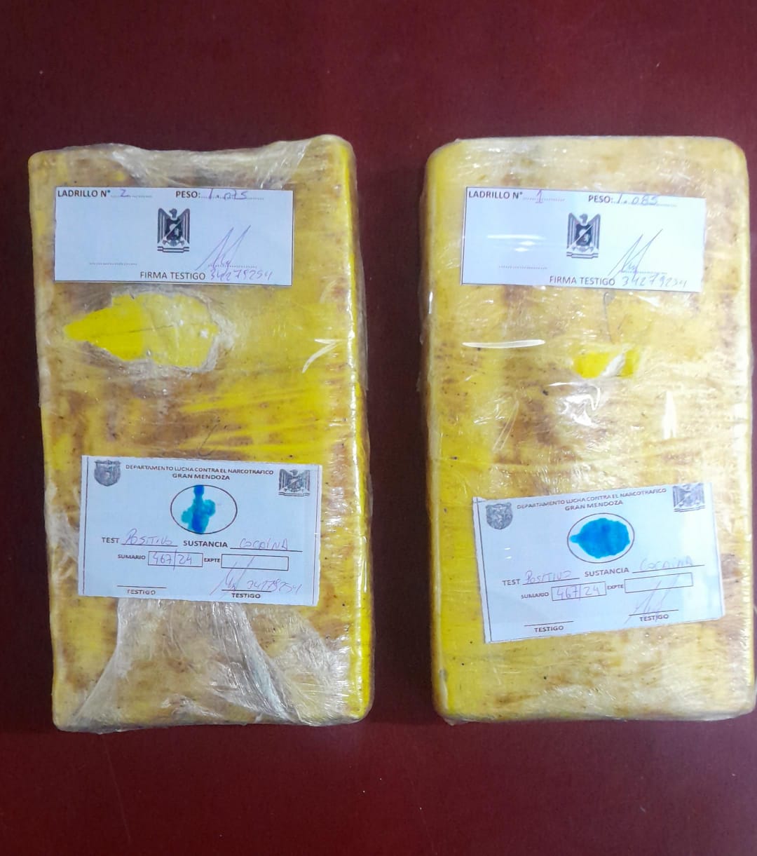 Detuvieron a 5 personas que transportaban ladrillos de cocainas, hojas de coca y millones de pesos