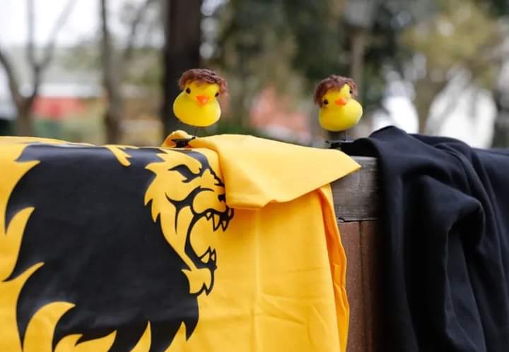 La tendencia presente: Salió el Patito Kawaii con peluca, en honor a Javier Milei
