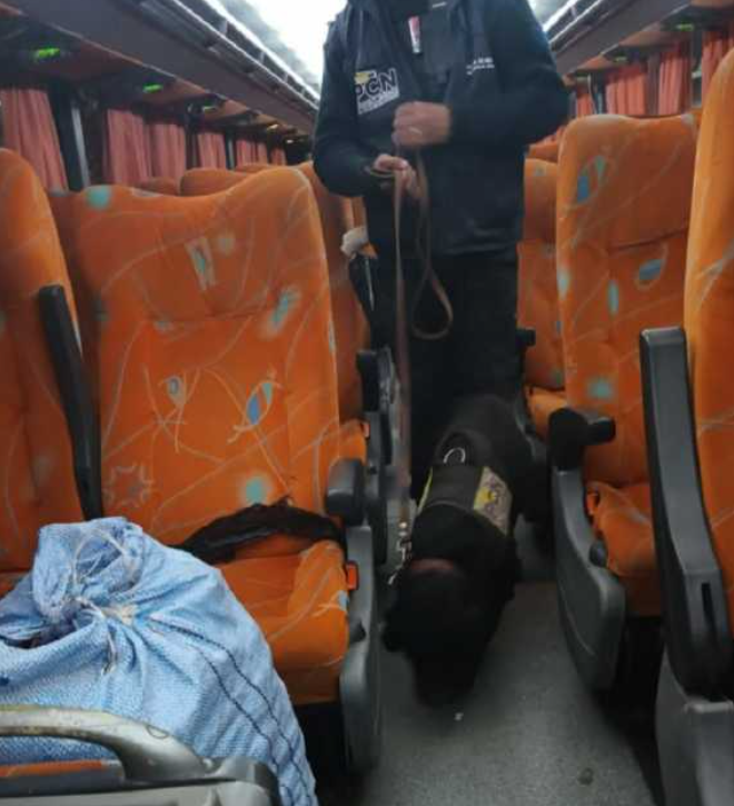 Una mujer fue detenida en Guaymallen por transportar cocaína en la vagina