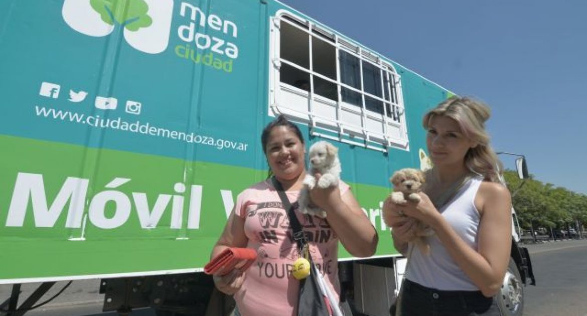 Así será la atención Móvil Veterinario en la Ciudad de Mendoza a partir del mes de julio