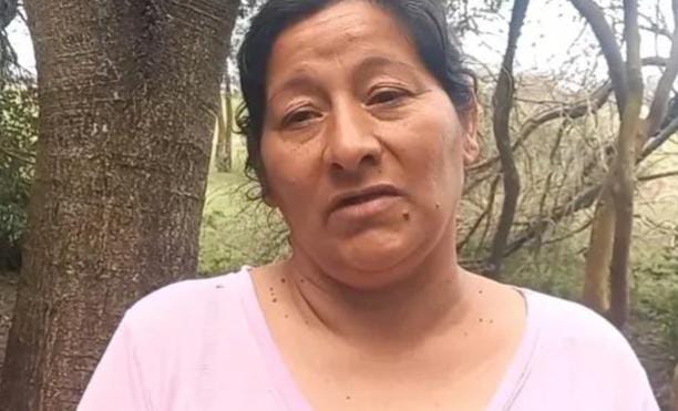 URGENTE: La tia de Loan confesó que la ex funcionaria y su marido atropellaron al menor de 5 años