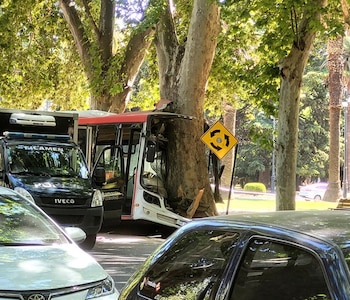 Falleció el pasajero del colectivo que chocó en el Parque San Martín: ya son dos las víctimas fatales