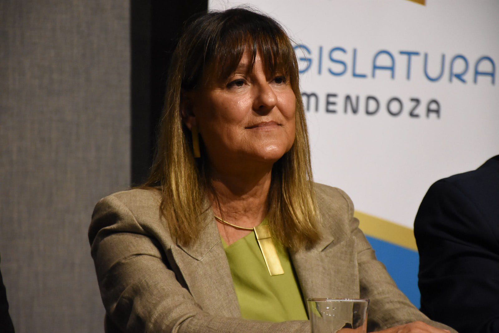 El Senado de Mendoza aprobó la designación de Norma Llatser como ministra de la Suprema Corte de Justicia