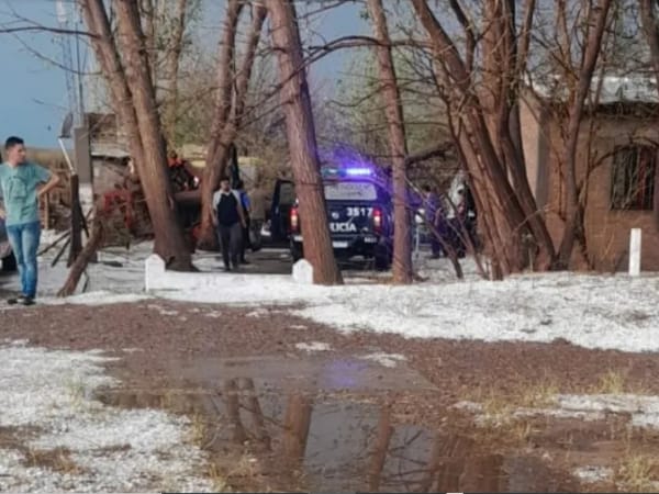 Se conoció la identidad del joven que murió aplastado por un árbol en Santa Rosa