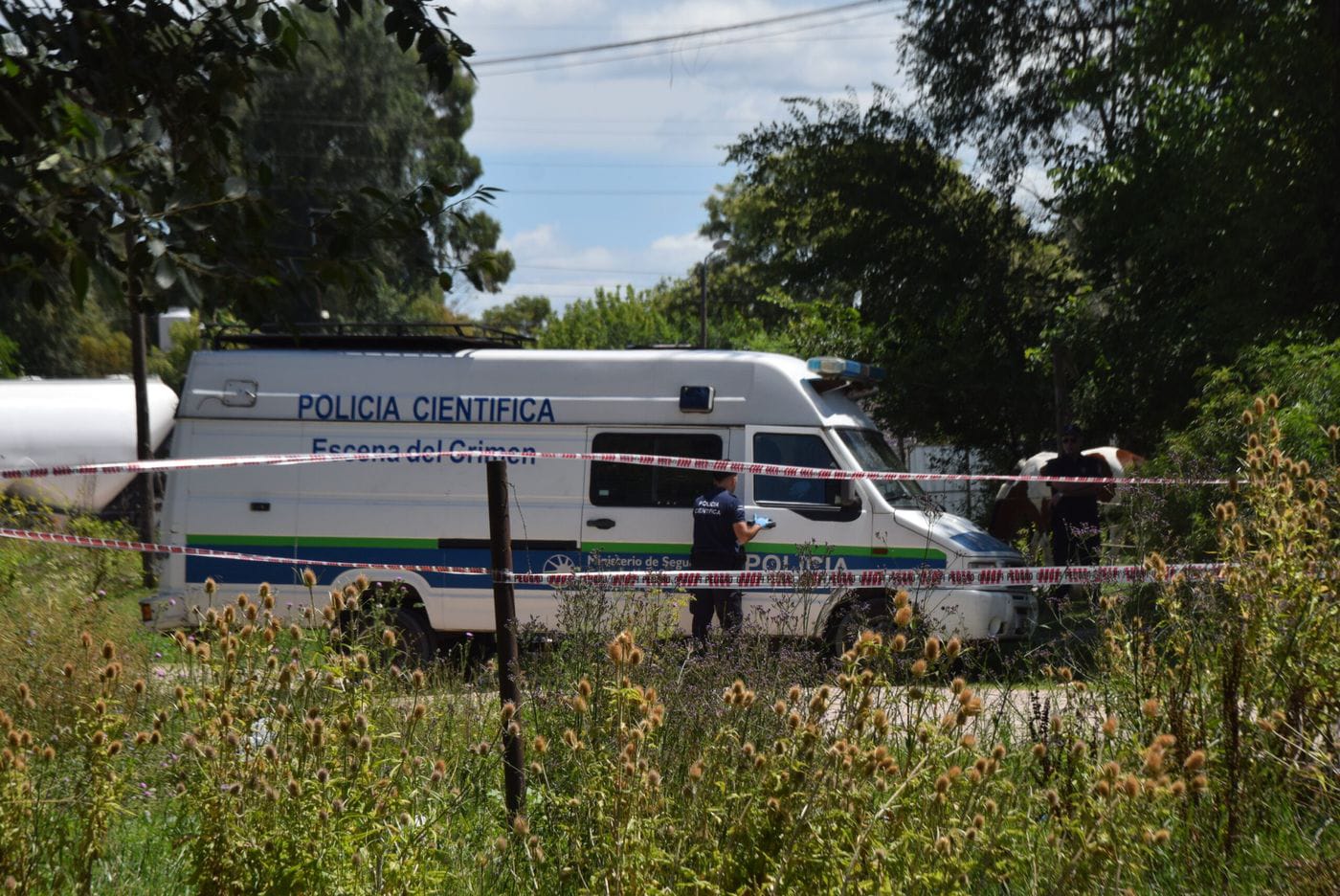Hallaron muerto a un nene de 2 años: investigan si fue atacado por perros