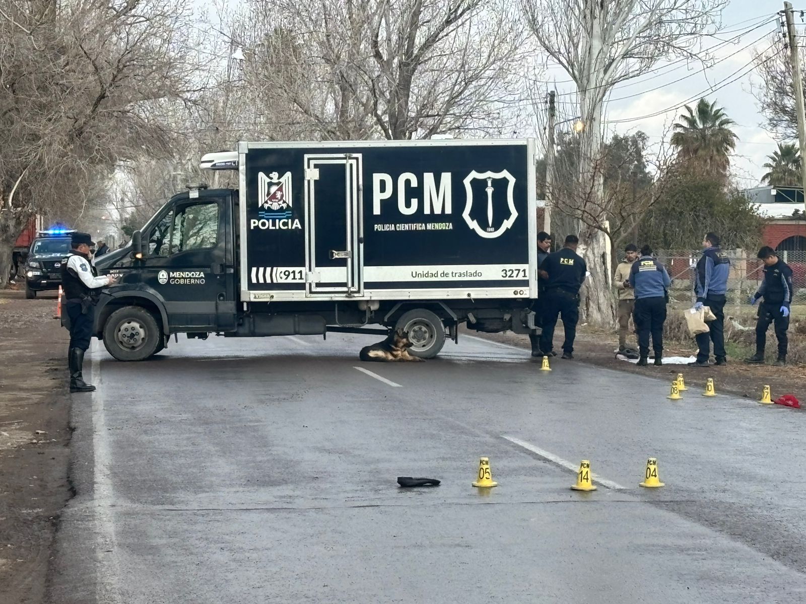 Muere atropellado hombre de 60 años: su perro no lo abandonó