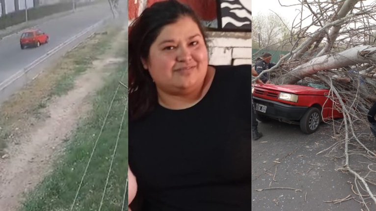 Quién es el responsable de la mujer que murió por la caída de un árbol