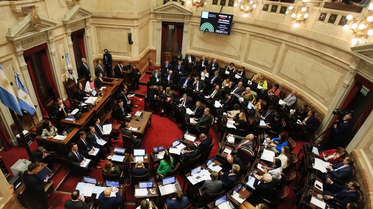 El Senado aprobó la Ley de Emergencia en Discapacidad