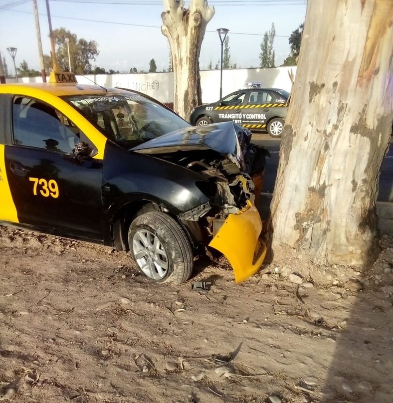 Taxi chocó contra un árbol en Luján