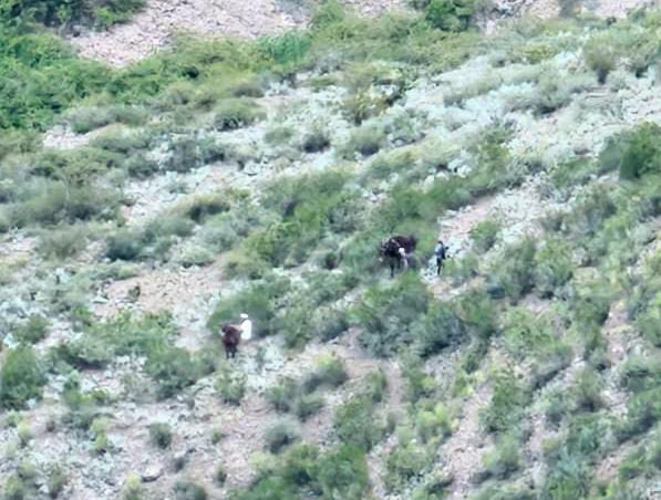 Exitoso rescate de una mujer en un cerro de Luján de Cuyo