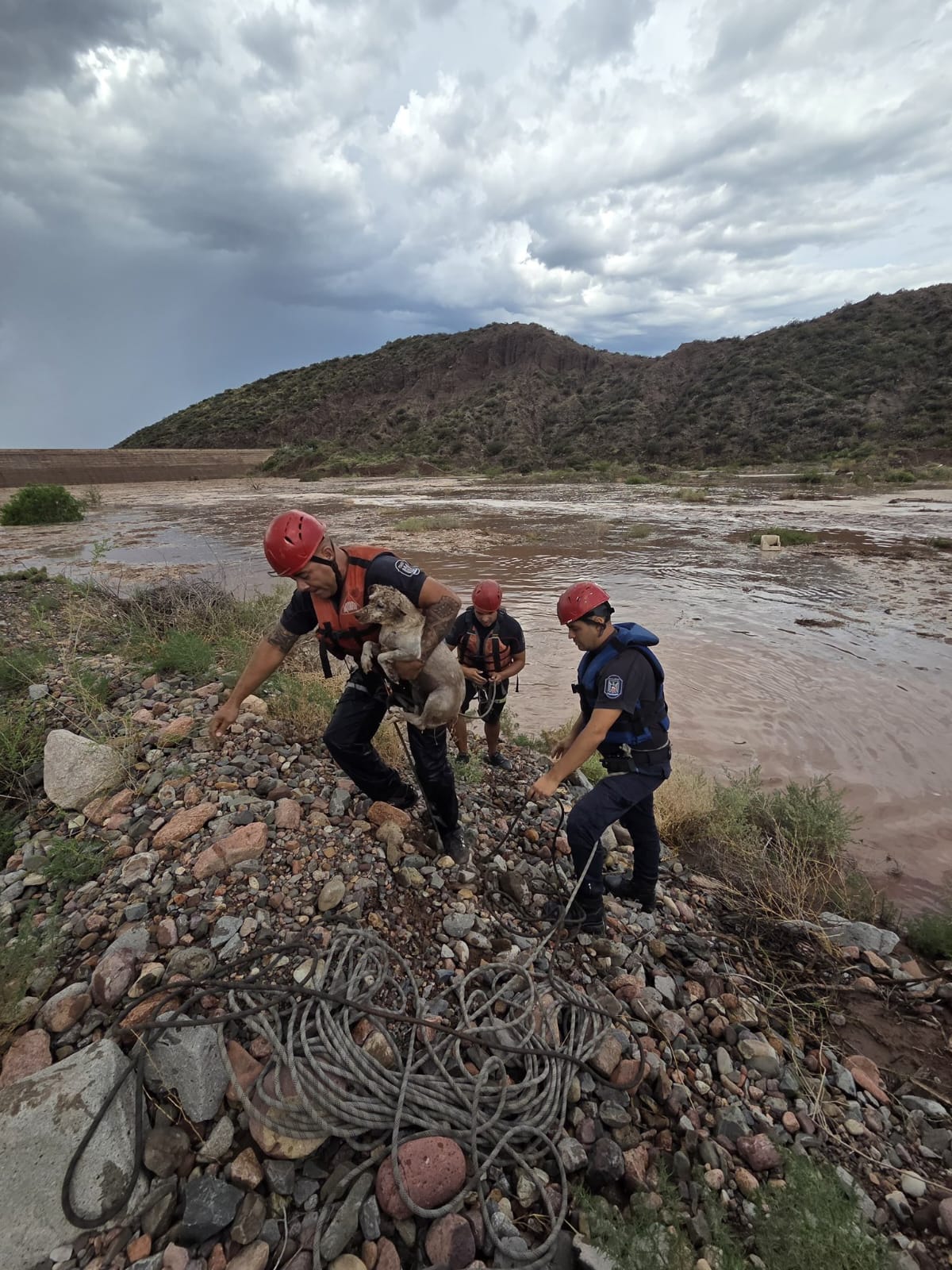 Temporal en Mendoza: cuántas personas fueron rescatadas