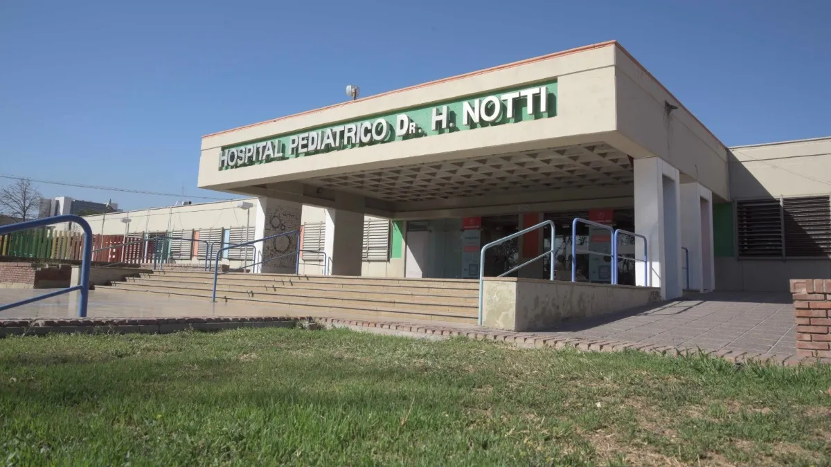 Detuvieron al padrastro por intento de homicidio: el menor lucha por su vida en el hospital Notti 