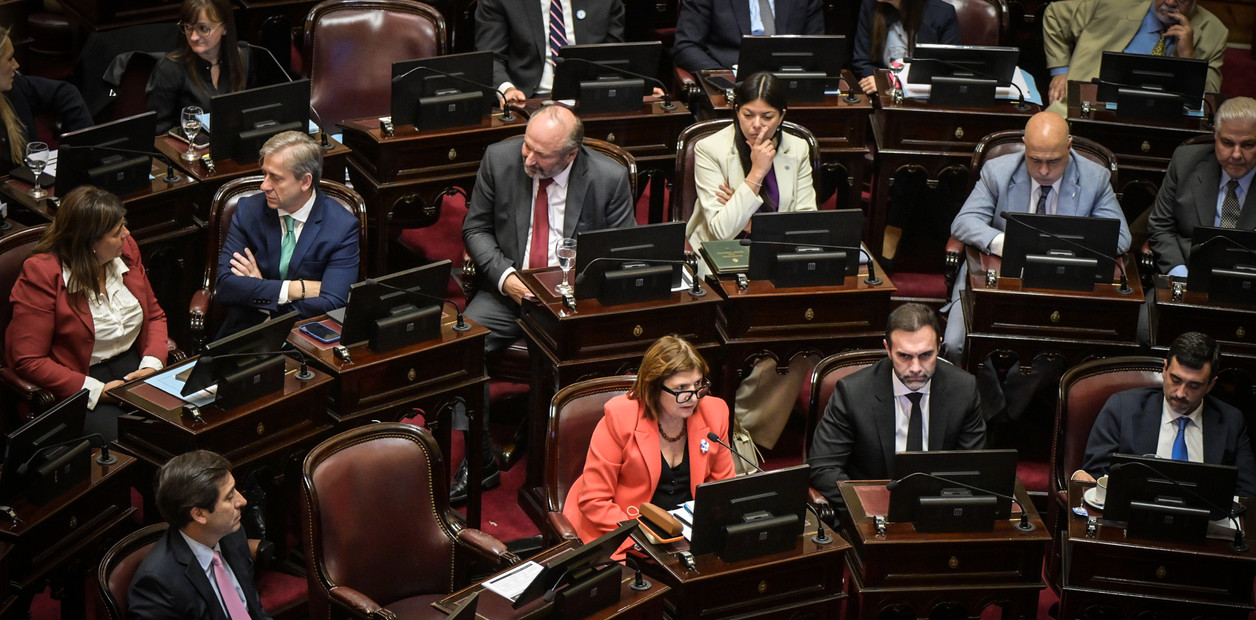 El senado aprobó el pliego de la jueza Michelli: que decisión tomará el presidente 