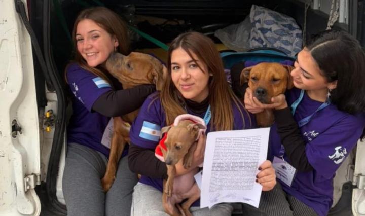 Maltrato animal: tras un gran allanamiento lograron rescatar a cinco animales en Luján de Cuyo
