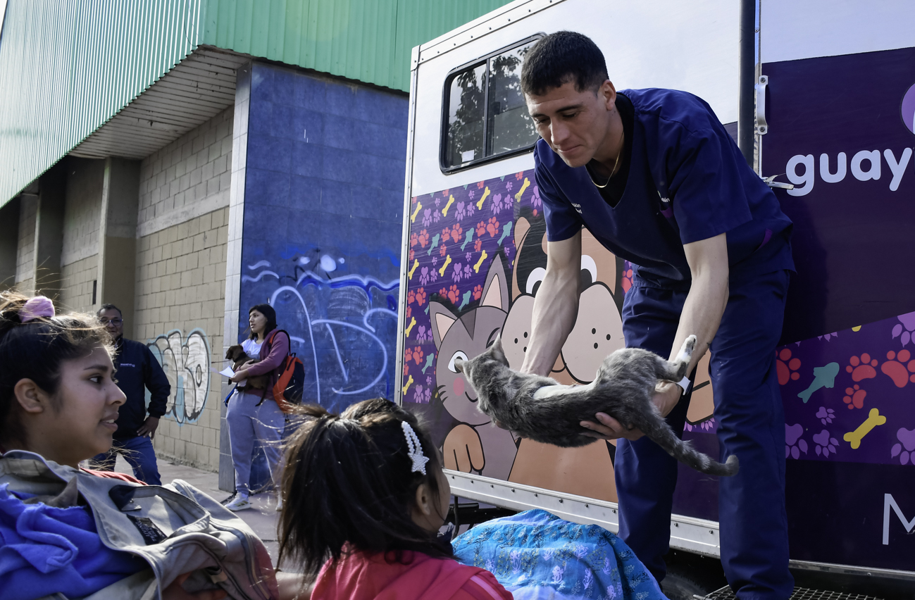 En los primeros meses del 2026, Guaymallén realizó casi cuatro mil castraciones de mascotas