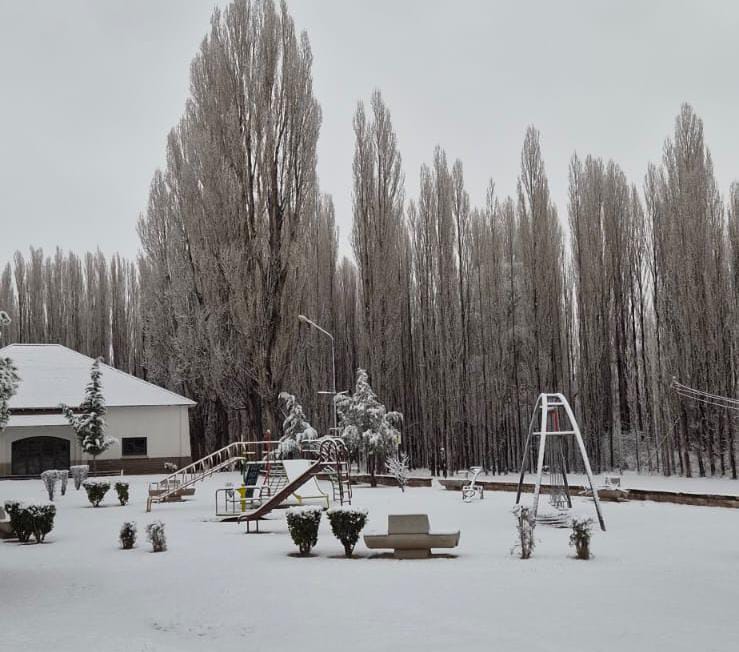 Suspenden las clases por intensas nevadas: que departamentos serían afectados por la medida 